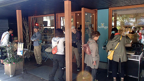 ウィンドウショッピングを楽しみました